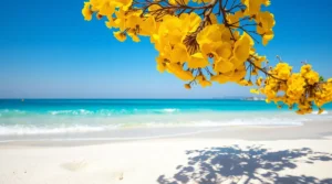 mai en sardaigne guide complet, conseils de vacances et informations sur le temps, le climat, les températures, l'eau, les vents, la pluie.